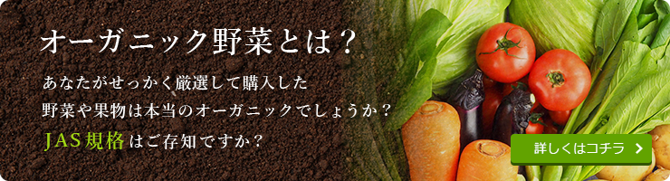 オーガニック野菜とは？あなたがせっかく厳選して購入した野菜や果物は本当のオーガニックでしょうか？JAS規格はご存知ですか？