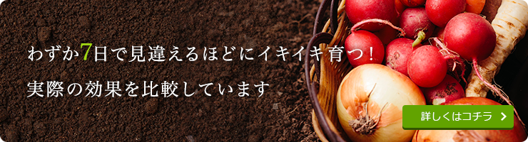 わずか5日で見違えるほどにイキイキ育つ！実際の効果を比較しています。